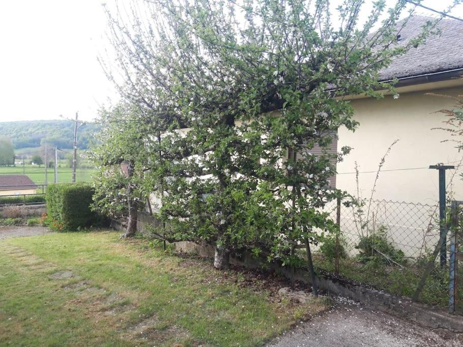 Maison Lombardi - Gite 6 Personnes 4 Etoiles Dun-sur-Meuse Екстериор снимка